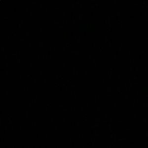 Meet your Posher, Abbie